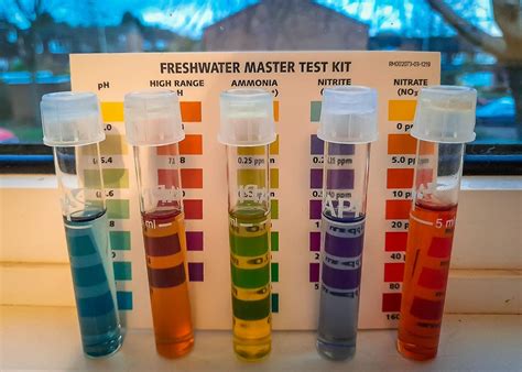 bottled water contamination test|test water quality at home.